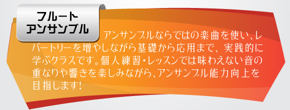 アンサンブルならではの楽曲を使い、レパートリーを増やしながら基礎から応用まで、
実践的に学ぶクラスです。個人練習・レッスンでは味わえない音の重なりや響きを楽しみながら、アンサンブル能力向上を目指します！